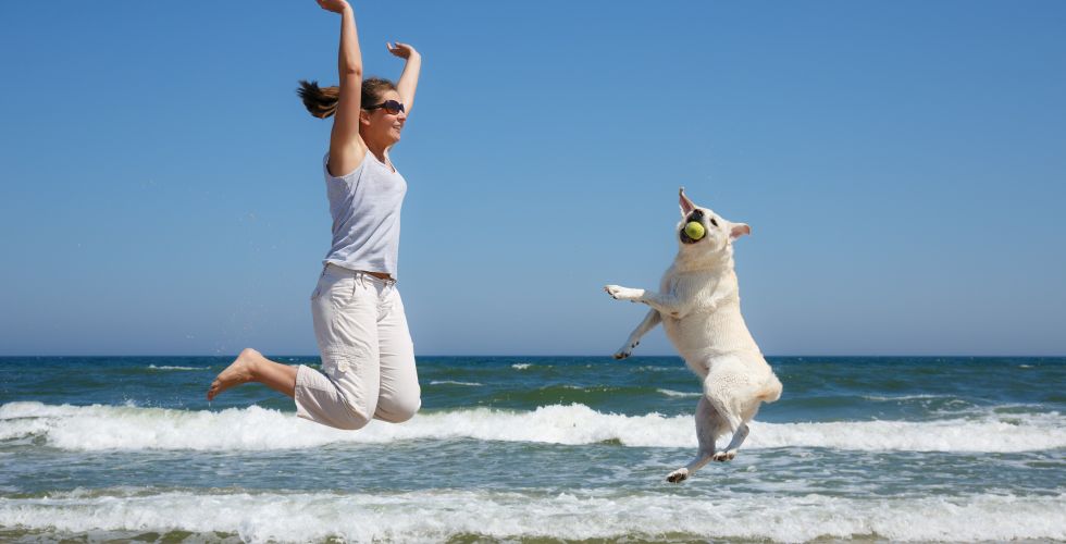 Wakacje z Pupilem nad Morzem 🐶🏃🏻‍♂️🌊